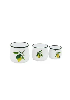 Cheung's Gilad Creative Decorative Lemon Themed Metal Jars Set of 3 -Urban Originals™ Shop Belk 108