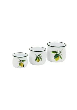 Cheung's Gilad Creative Decorative Lemon Themed Metal Jars Set of 3 -Urban Originals™ Shop Belk 109