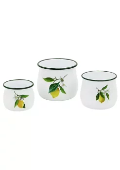 Cheung's Gilad Creative Decorative Lemon Themed Metal Jars Set of 3 -Urban Originals™ Shop Belk 111